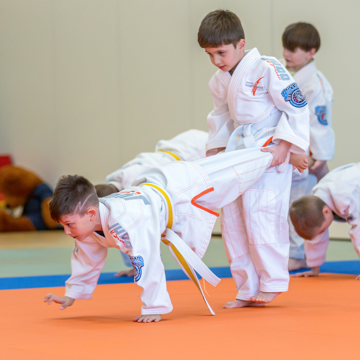 judo-verein-neusiedl-leistungszentrum judo verein neusiedl leistungszentrum