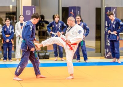 Jiu Jitsu Neusiedl